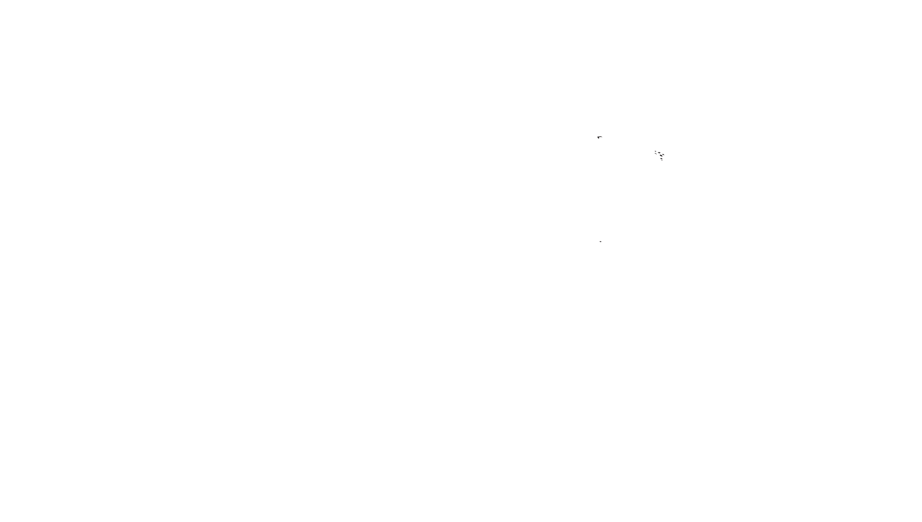 CNIB  Carnival Logo